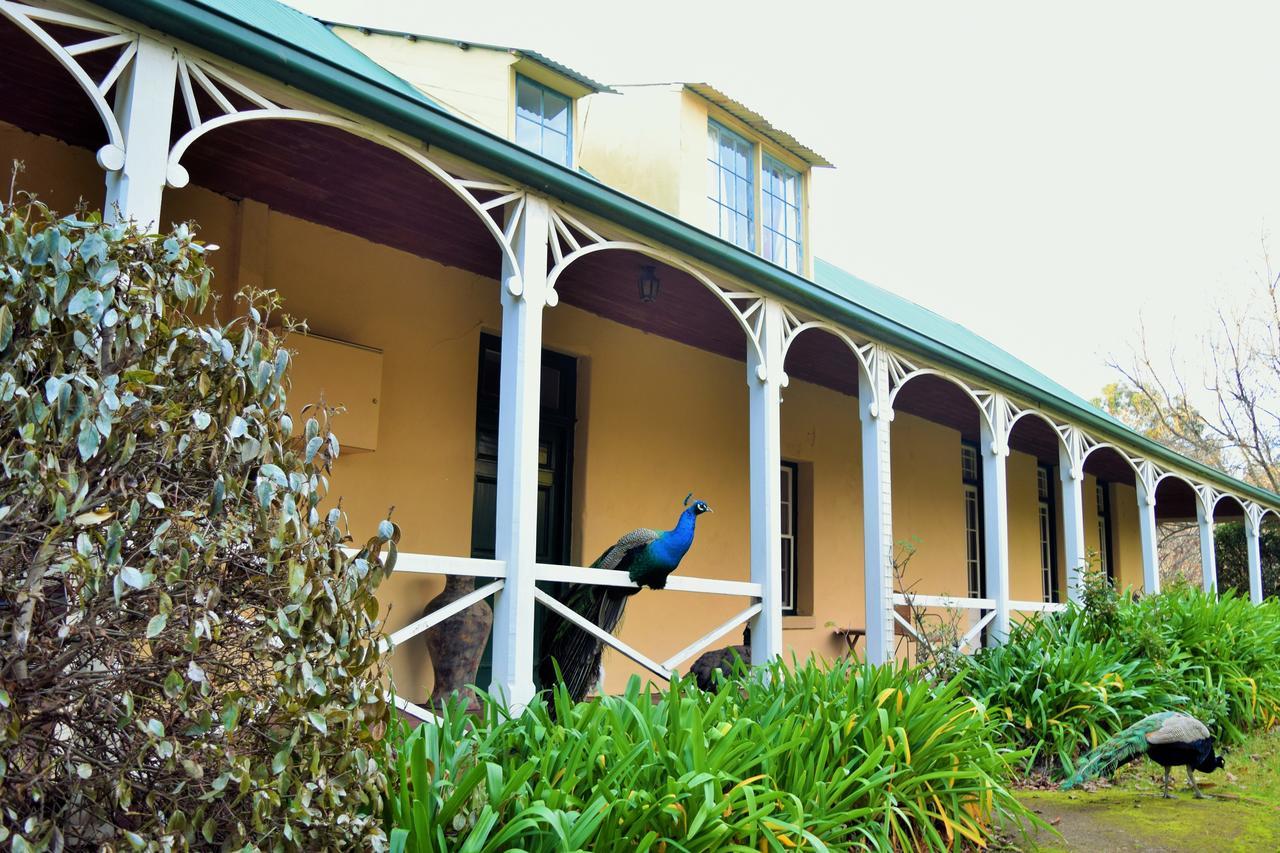 Cleburne Homestead Risdon Екстериор снимка